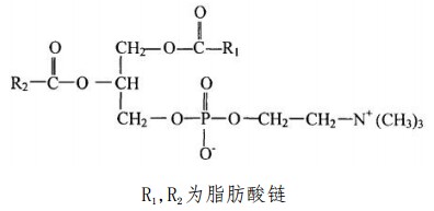 中藥標準品